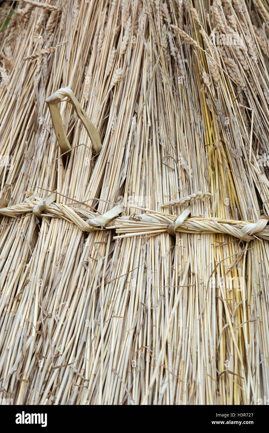 Straw thatch demonstration at Weald and Downland open air museum, autumn countryside show, Singleton, Sussex, UK Stock Photo