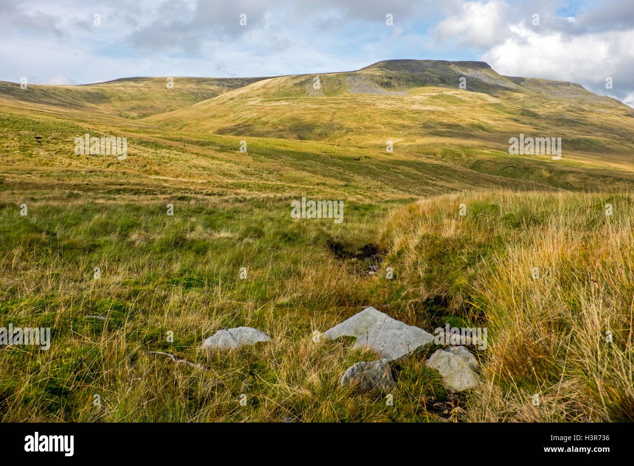 Wild Boar Fell, Mallerstang, in The Yorkshire Dales Stock Photo Alamy