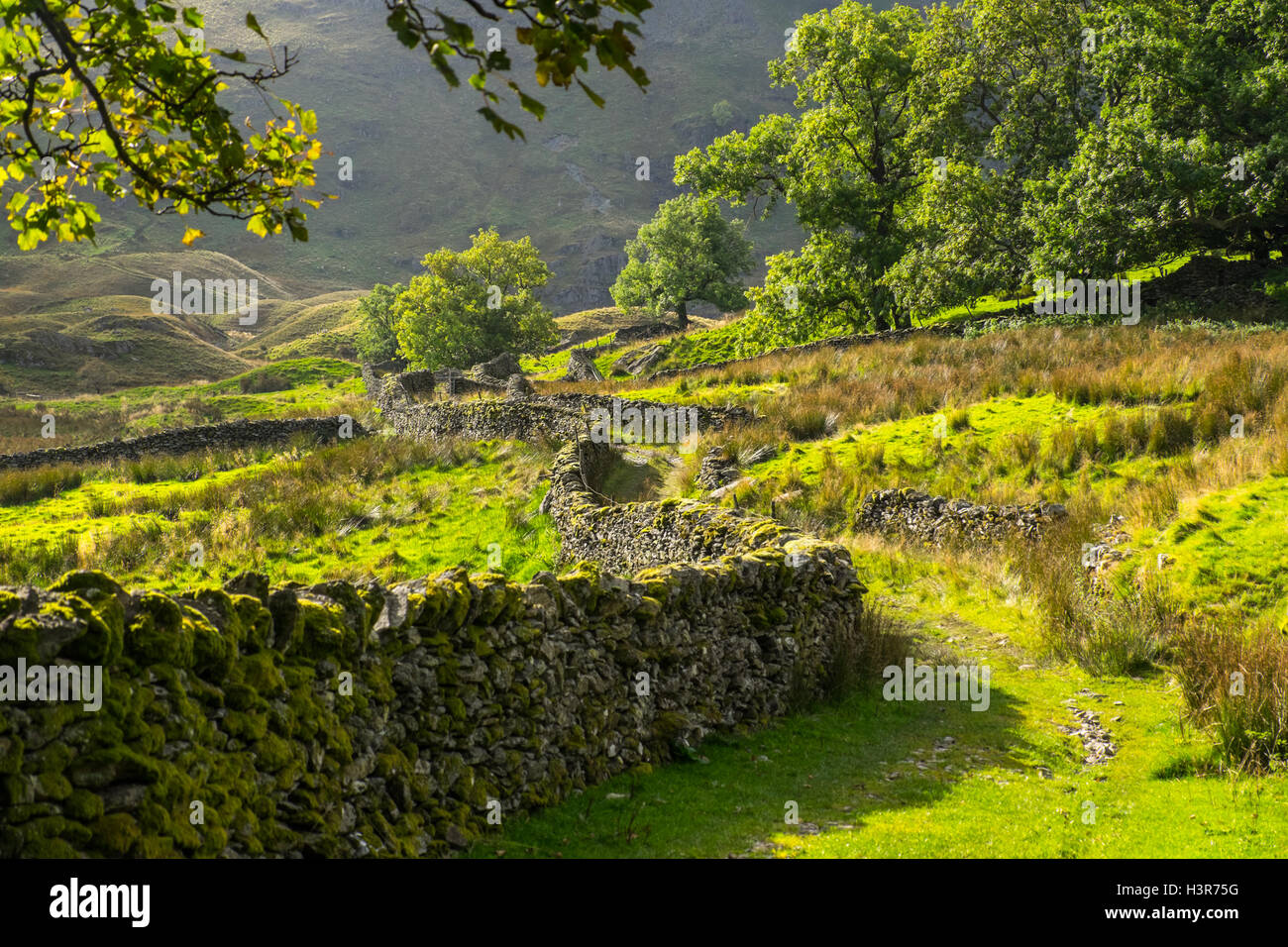 a green lane, Swindale, a valley on the eastern edge of the Lake