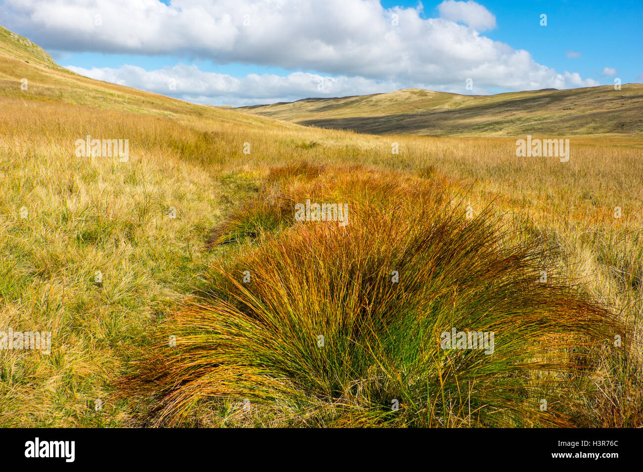 Bog and rough pasture, Mosedale on the eastern fringes of the Lake District Stock Photo