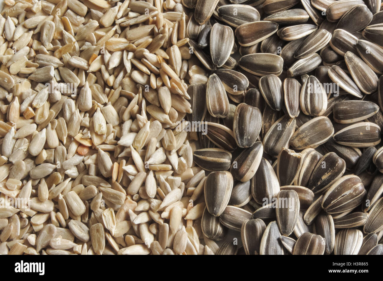 Sunflower as ingredient Stock Photo Alamy