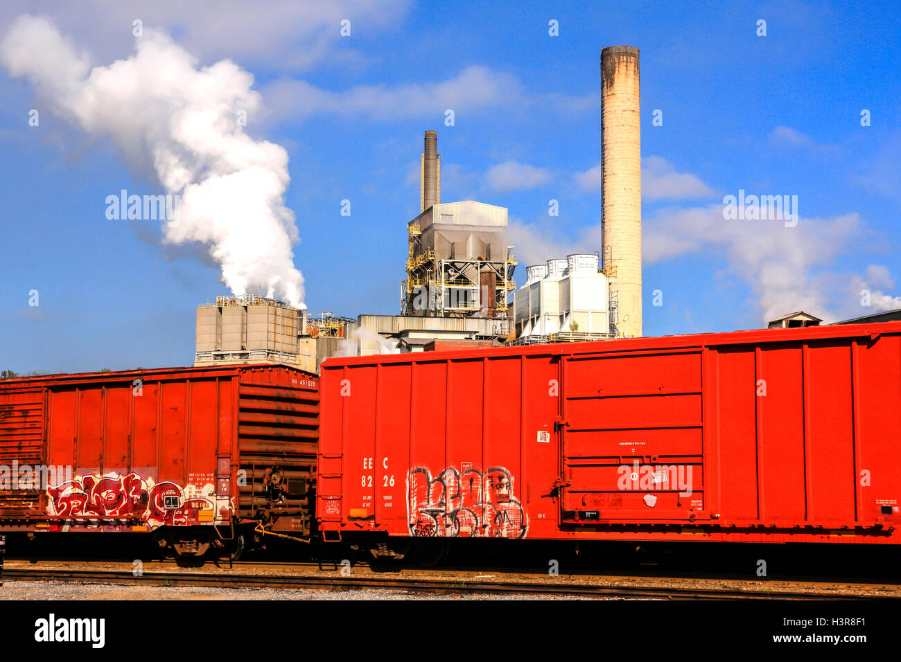 Railroad freight cars at the paper factory in Canton, South Carolina
