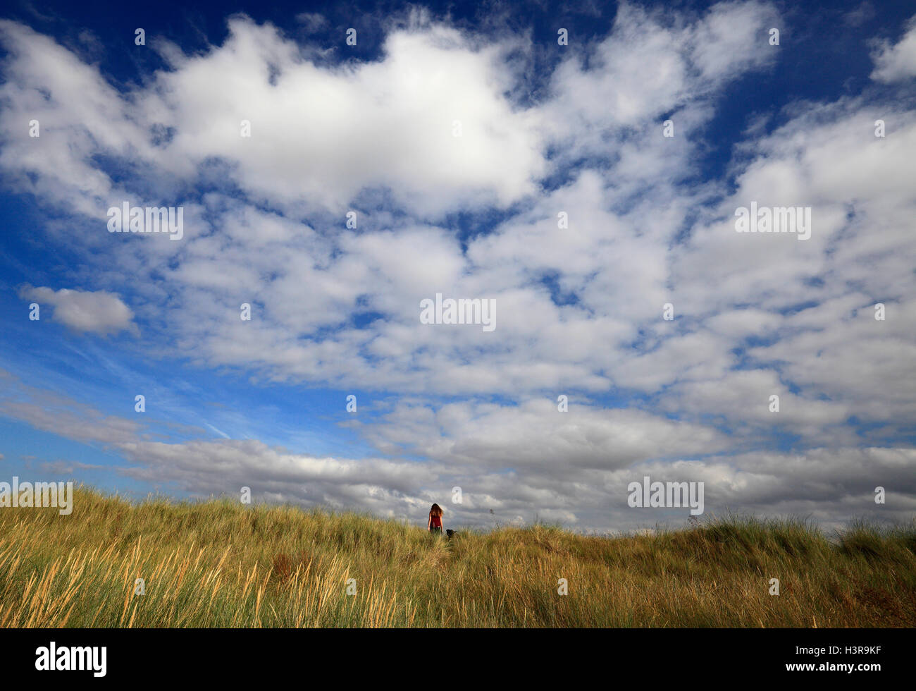 Seventeen year old girl and her black Labrador on sand dunes on the Norfolk coast. Stock Photo