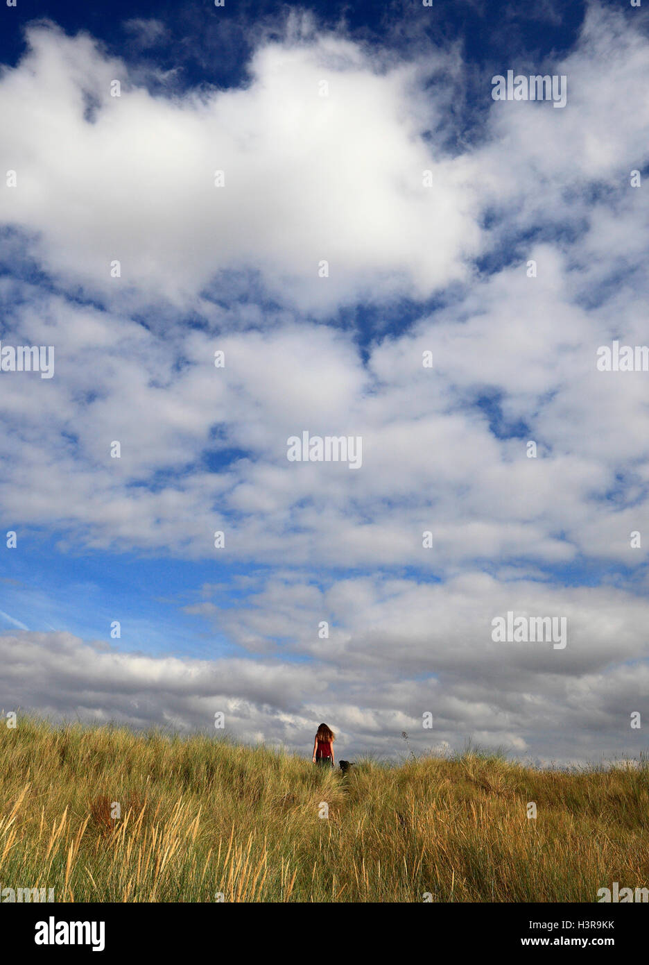 Seventeen year old girl and her black Labrador on sand dunes on the Norfolk coast. Stock Photo