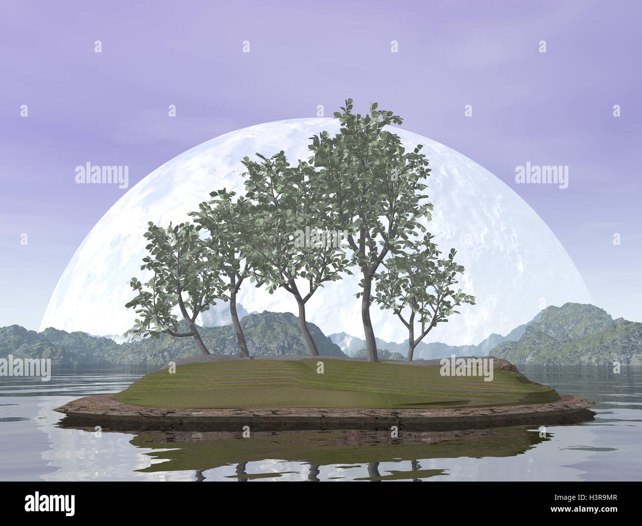 Smooth leaved elm bonsai tree by red sunset over the water - 3D render Stock Photo