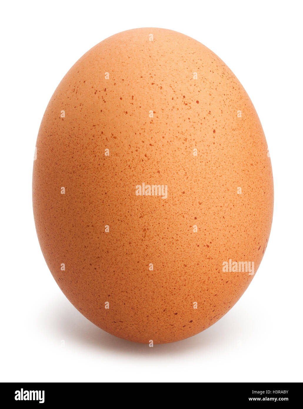 Orange hen Cut Out Stock Images & Pictures - Alamy