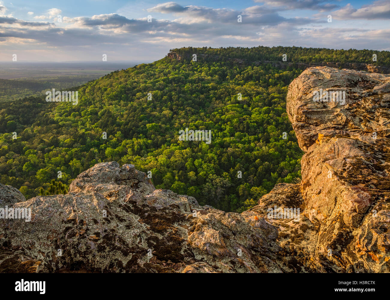Petit Jean State Park, Arkansas Evening light on forested Petit Jean