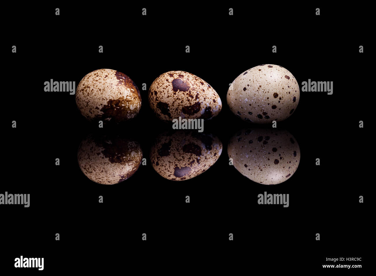 Three quail eggs in row isolated on black reflective background Stock ...