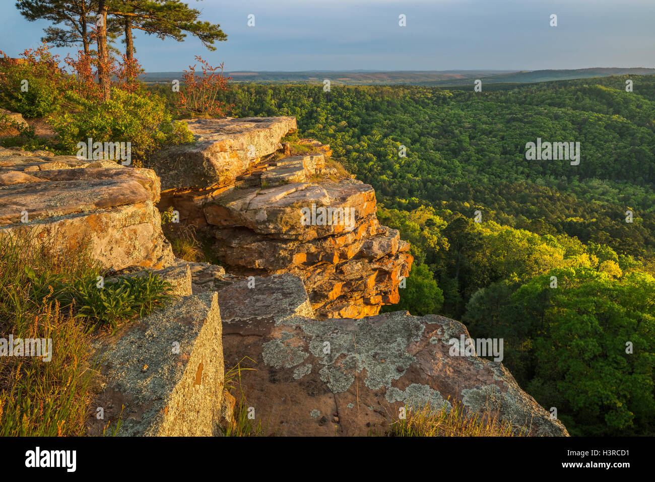Petit Jean State Park, Arkansas Overlook above Cedar Creek and the