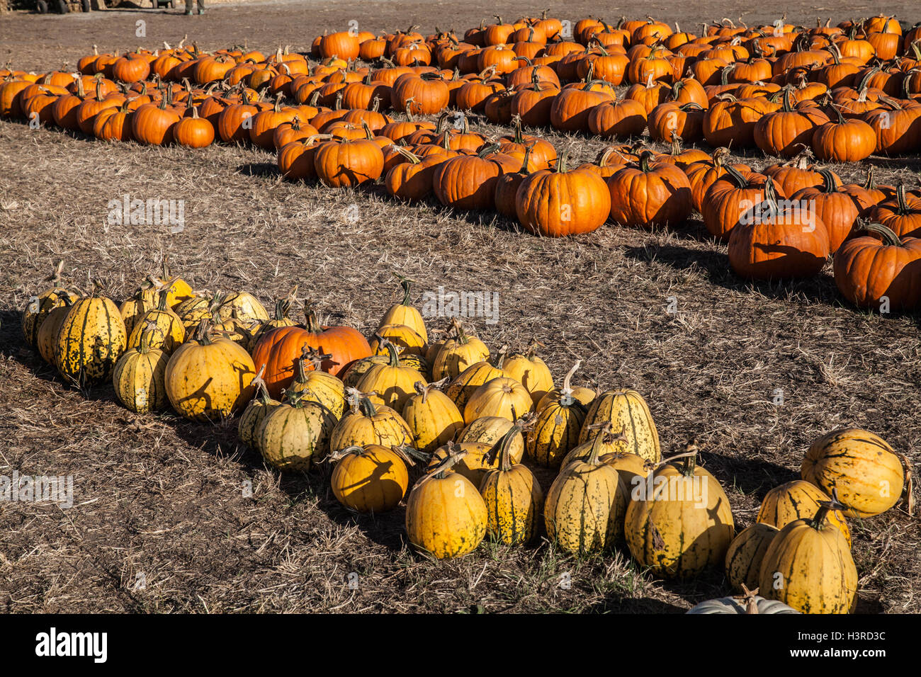 September moon field hires stock photography and images Alamy