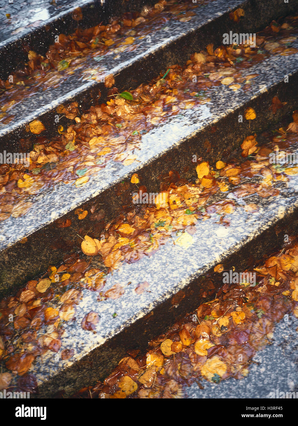 Stairs, steps, wet, autumn foliage, stone steps, foliage, rain, danger collision, slippery, slide danger, autumn, leaves, moisture Stock Photo