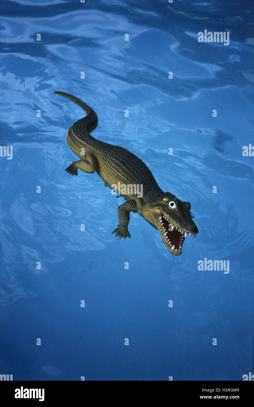 Water surface, toys, crocodile, artificially, do water, pool