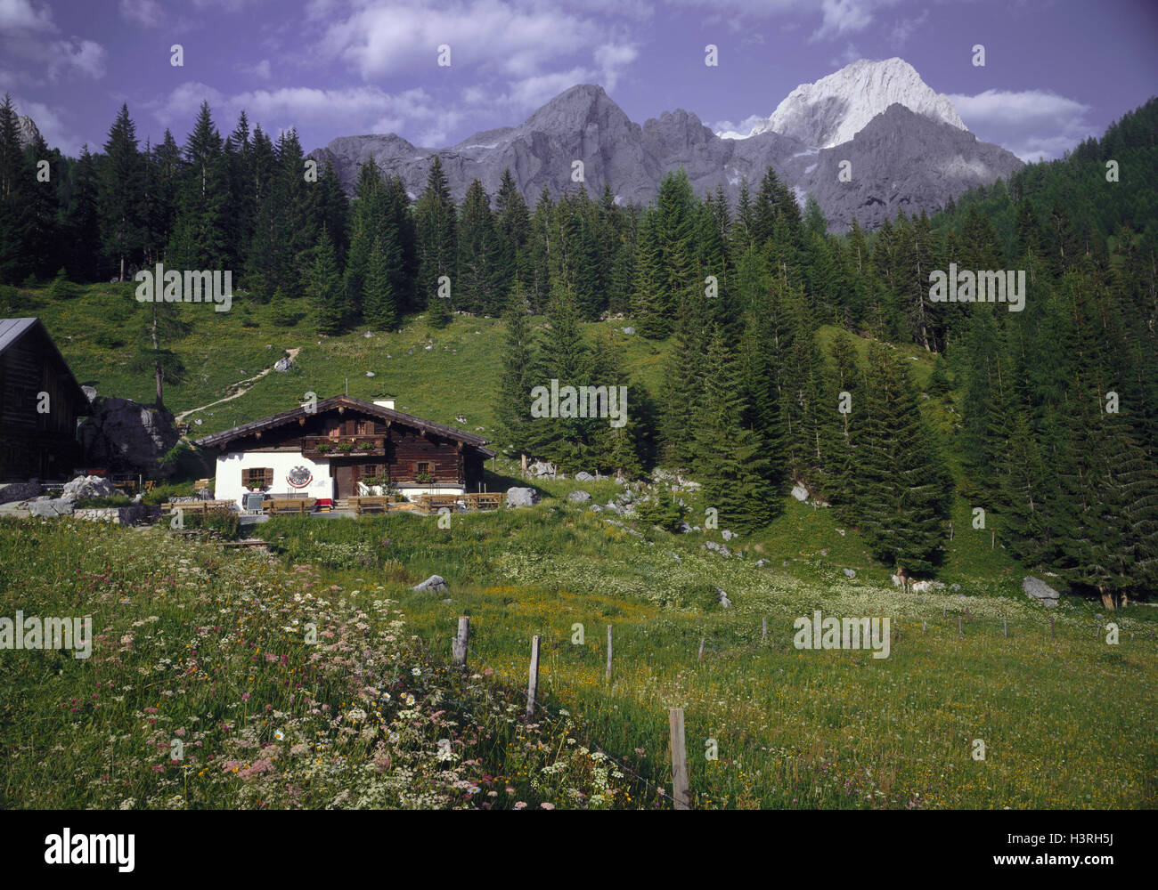 Roof Felt Stock Photos &amp; Roof Felt Stock Images - Alamy