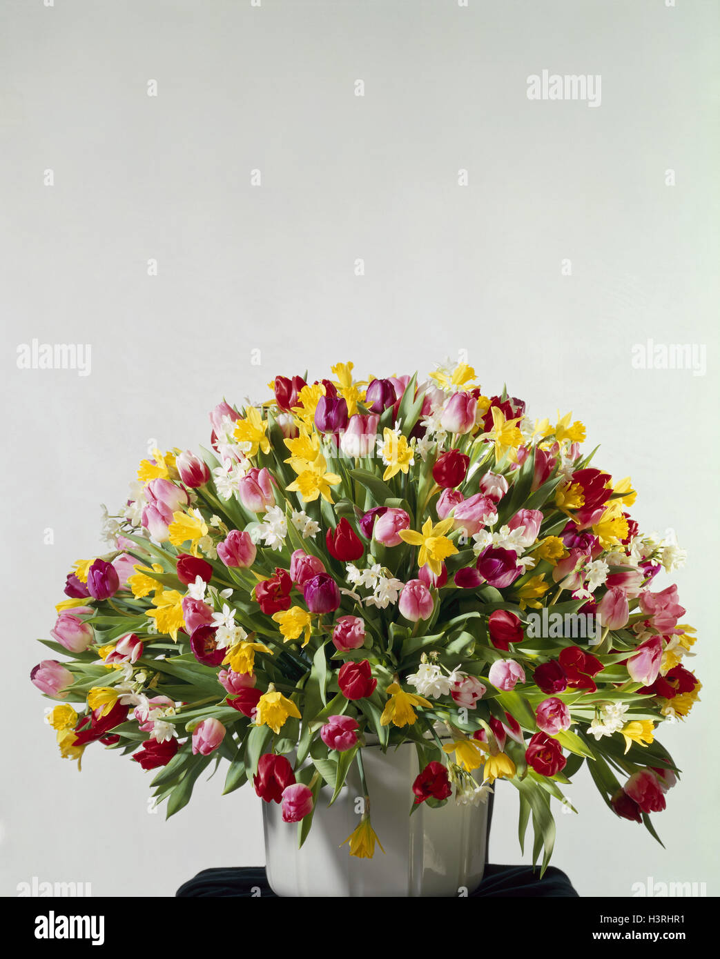 Bouquet in vase, different tulips and narcissi, copy spaces Stock Photo