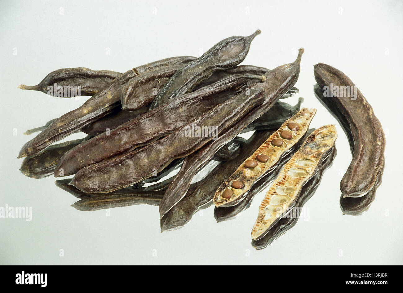 Carob tree ceratonia siliqua hi-res stock photography and images - Alamy