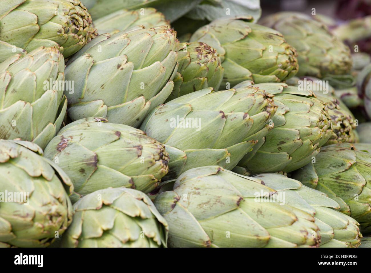 Artichoke background. Asparagus family, market stock photography Stock
