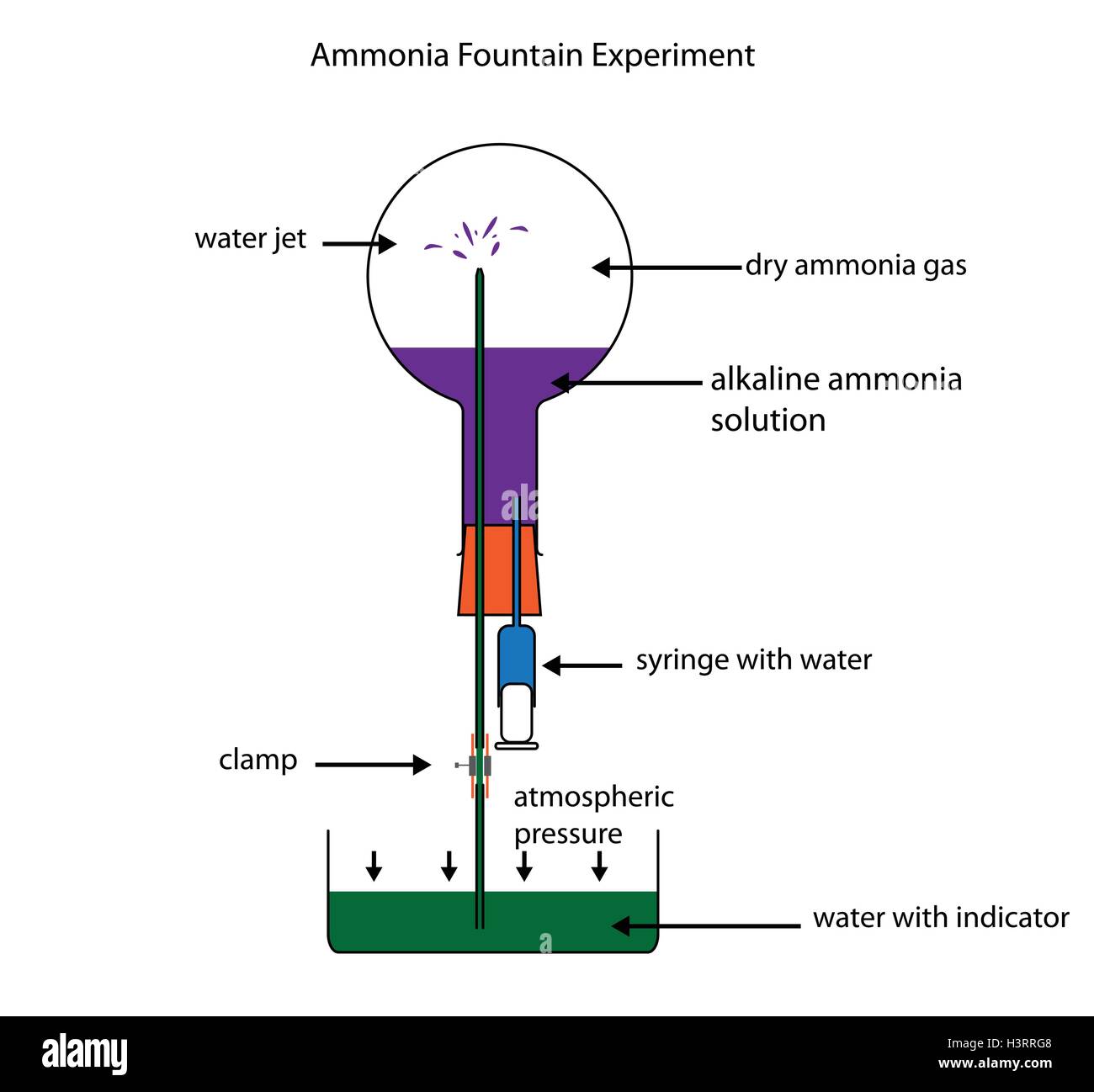 Ammonia Fountain Experiment To Demonstrate The Solubility Of Ammonia Stock Vector Art Ammonia Fountain Experiment To Demonstrate The Solubility Of Ammonia Stock Vector Art