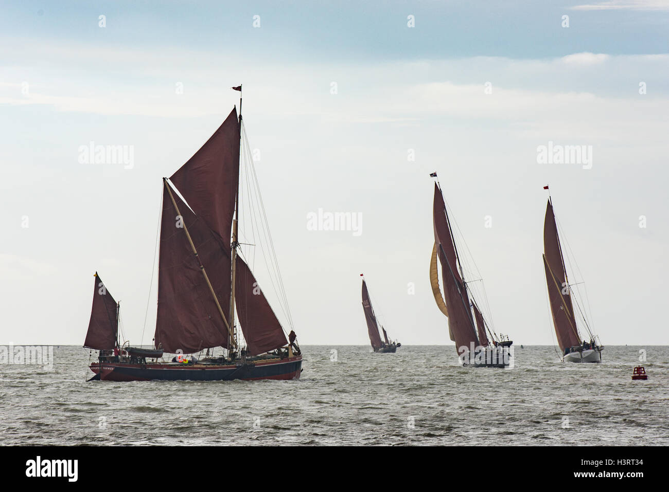 Thames sailing barges tacking into the wind as they leave the Colne