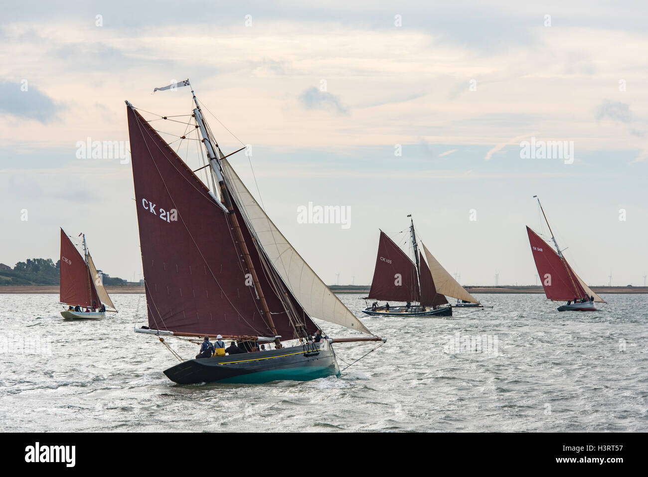 Sailing smacks racing in the Colne estuary in Essex. L-R: CK9 Harriet Blanche, CK21 Maria, CK105 Iris Mary, CK 348 My Alice. Stock Photo