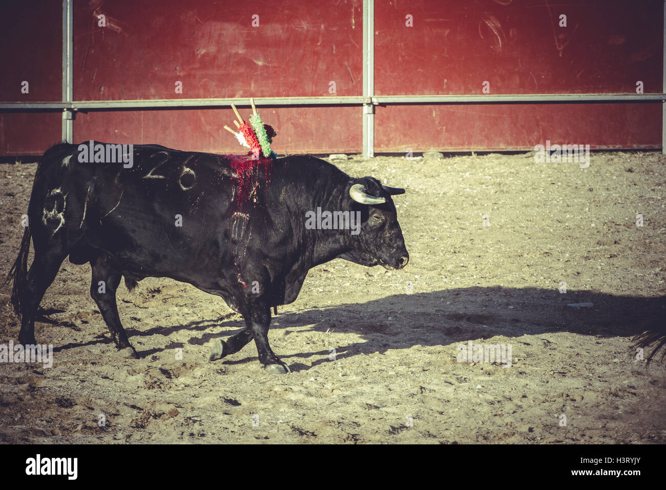 Bullfight traditional hi-res stock photography and images - Alamy