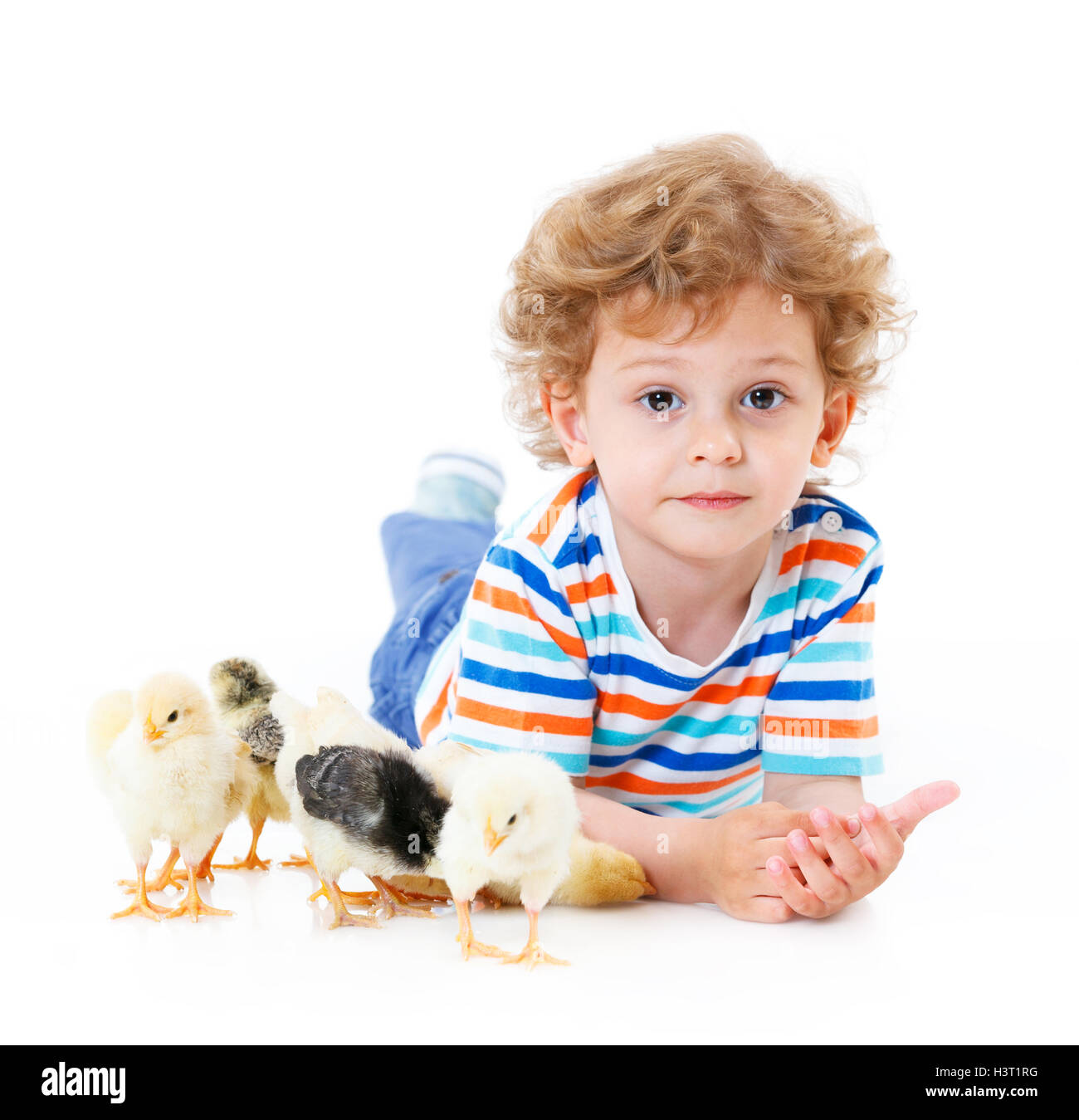 Boy with cute chickens Stock Photo