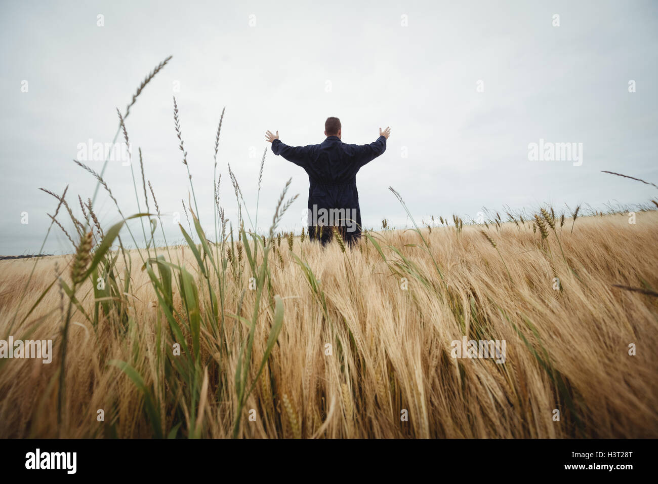 Rear view of farmer standing in the field Stock Photo - Alamy