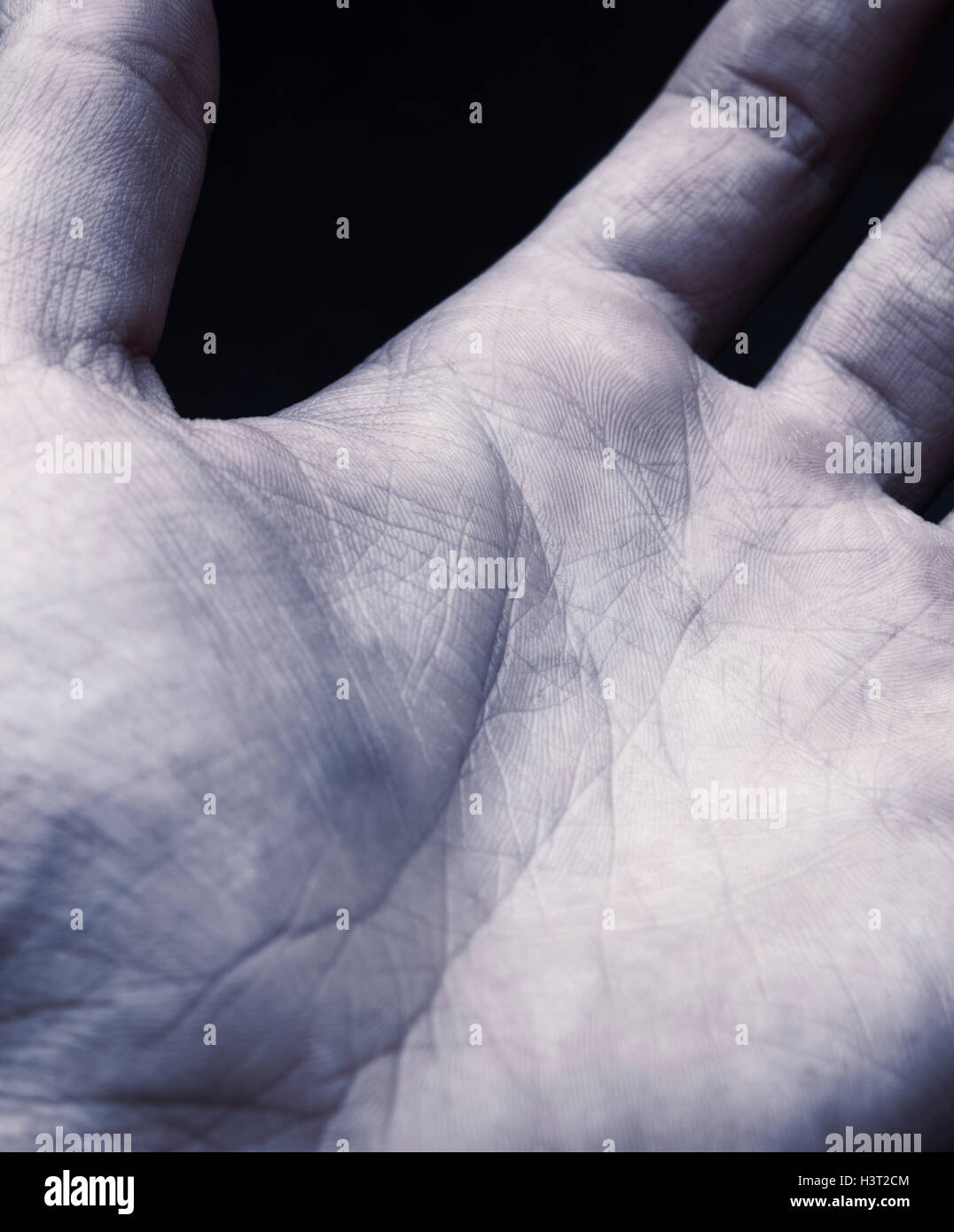 Abstract closeup of a male hand, skin inside of man palm Stock Photo