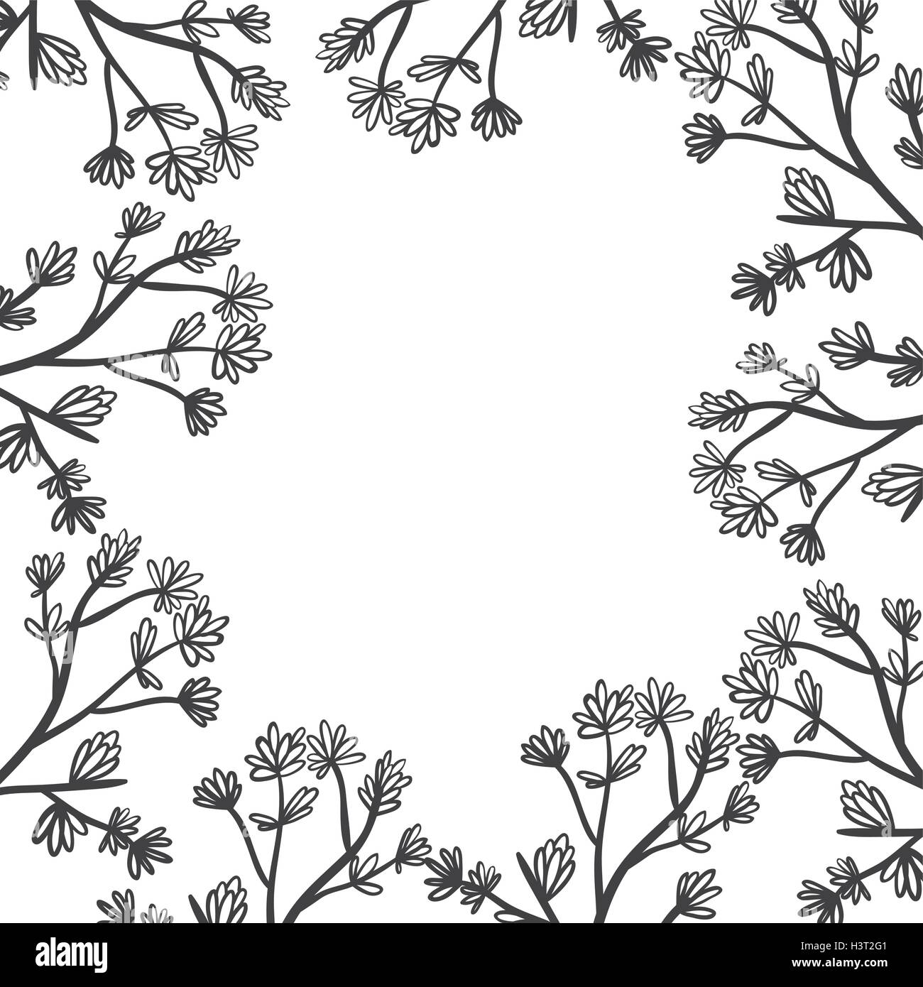 Floral Border Black and White Stock Photos & Images Alamy