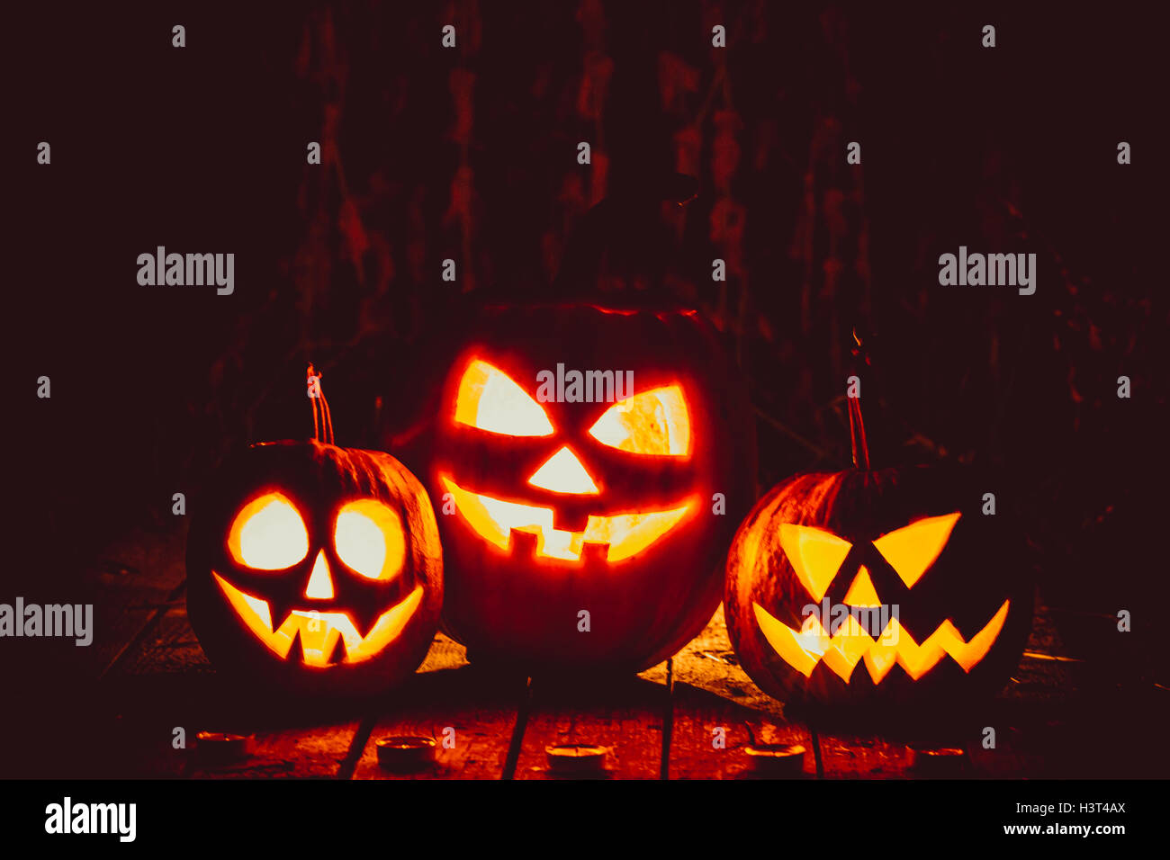 Halloween Pumpkins head jack lantern on the old boards in a spooky ...