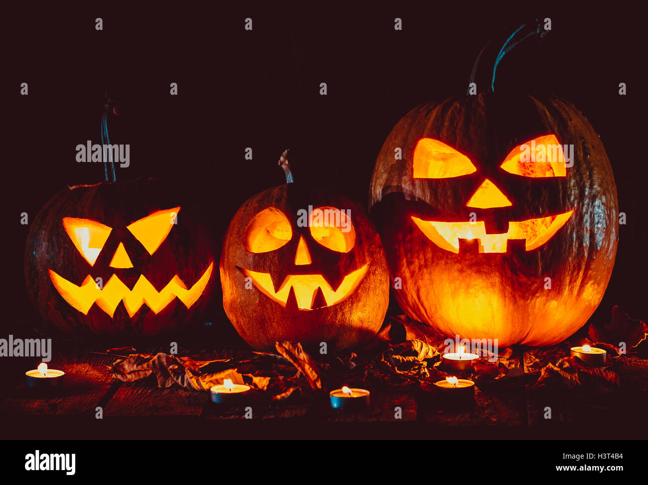 Halloween Pumpkins head jack lantern on the old boards in a spooky ...