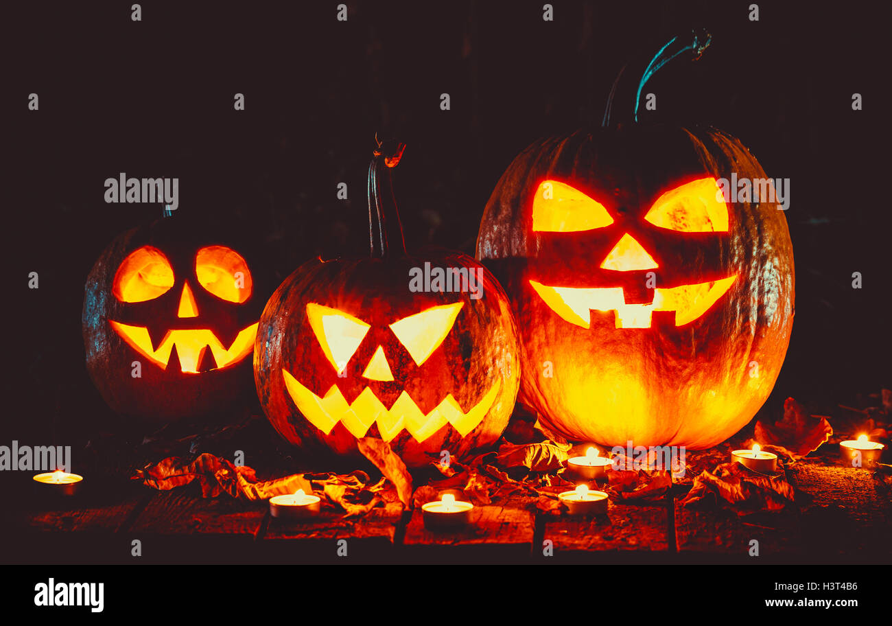 Halloween Pumpkins head jack lantern on the old boards in a spooky night landscape. Soft focus. shallow DOF Stock Photo