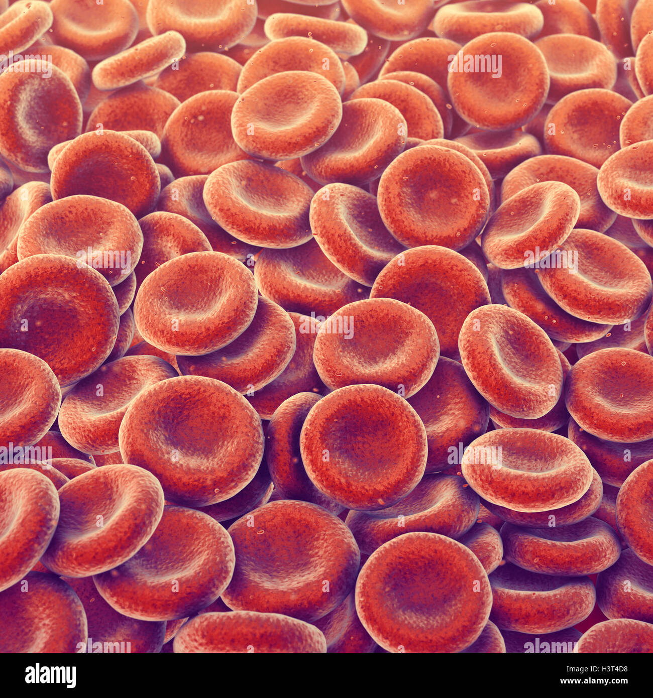 Red blood cells , Anemia ,  Erythrocytes , 3d illustration Stock Photo