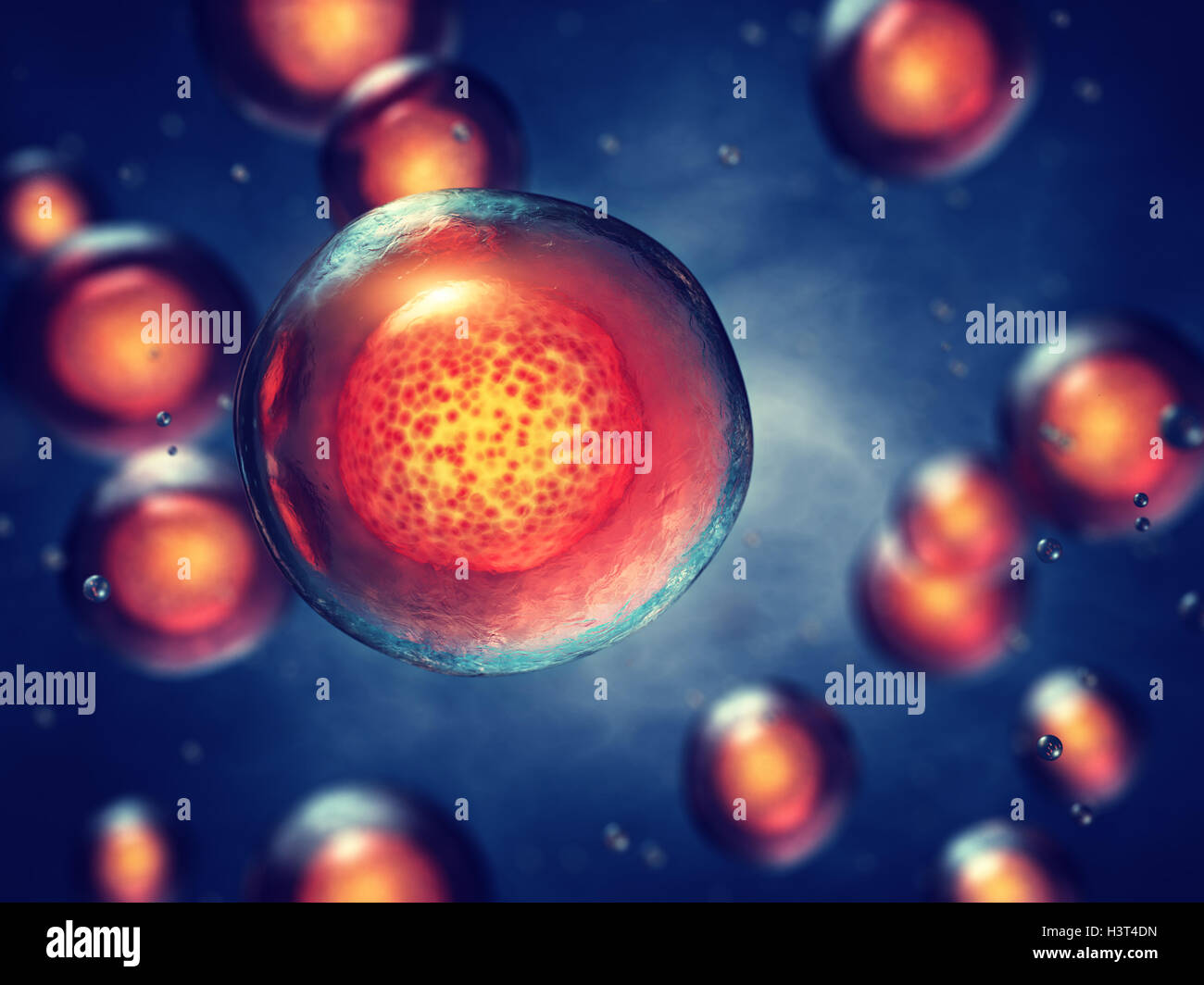 Embryonic stem cells , Cellular therapy , Regeneration , Disease treatment Stock Photo
