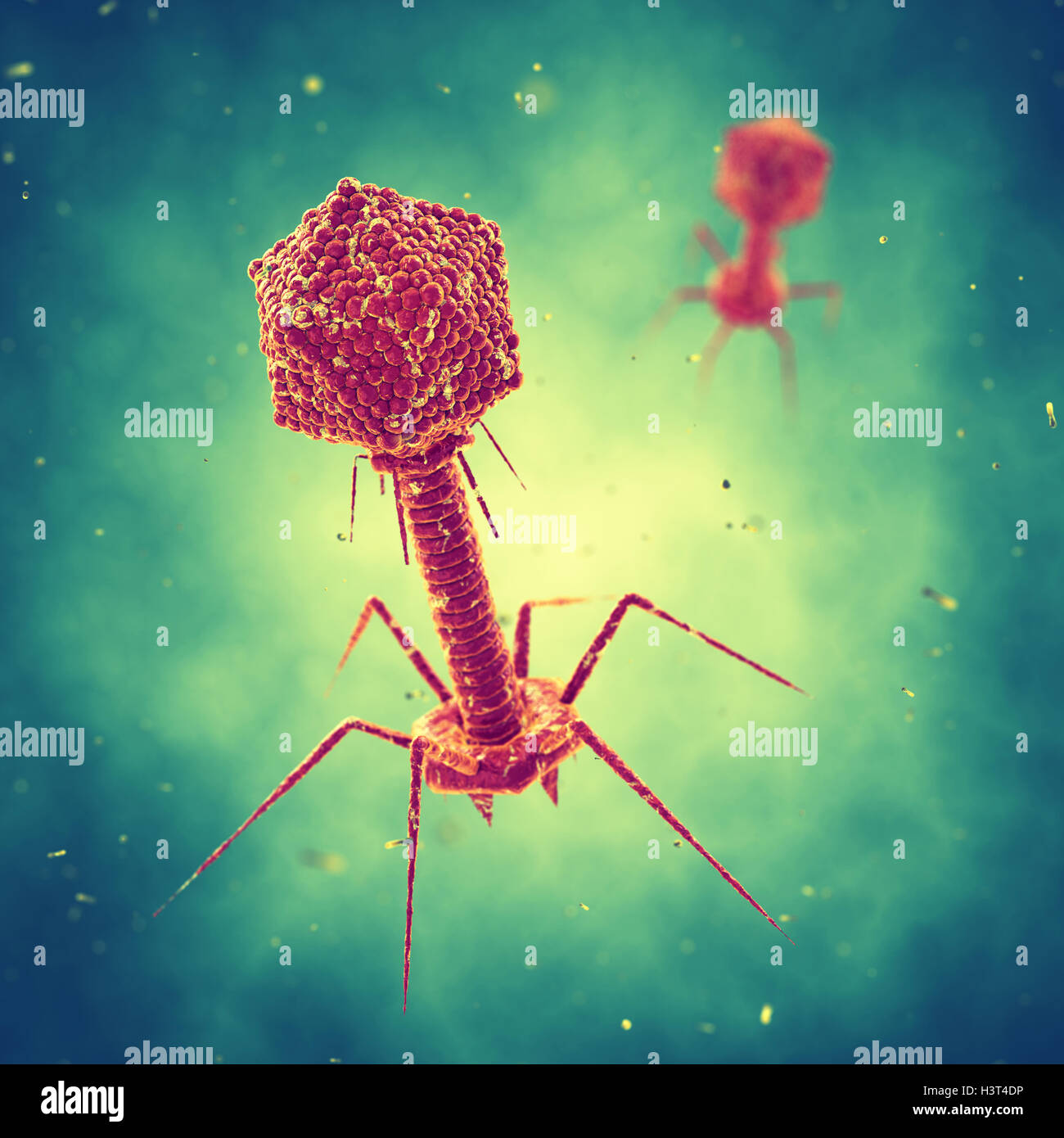 Bacteriophage viruses , Infectious disease , Phage therapy Stock Photo