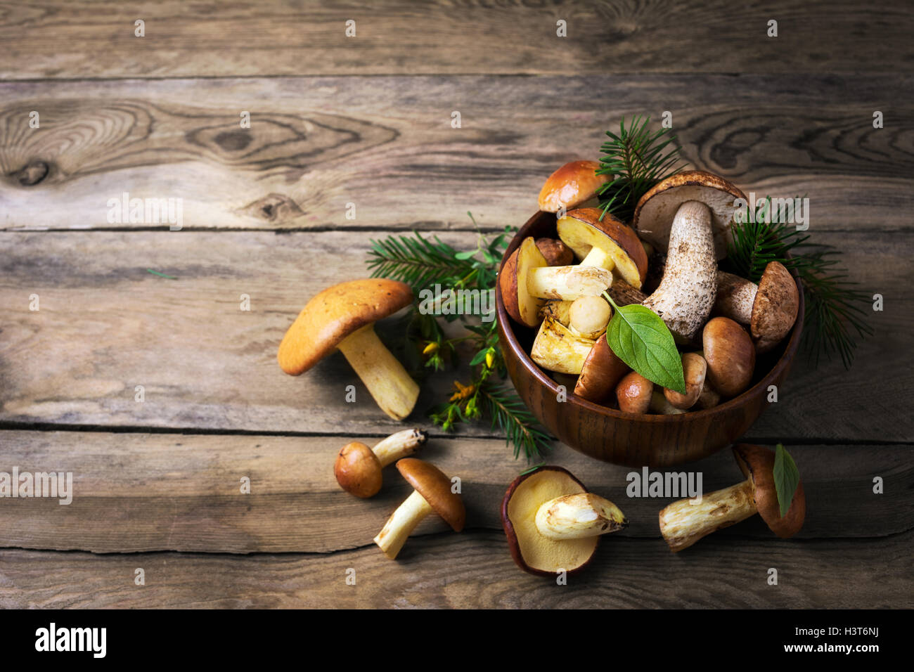 гриб лежит на столе. белый гриб в разрезе. белый гриб лежит. змейка на грибочки лежит. свежие грибы.