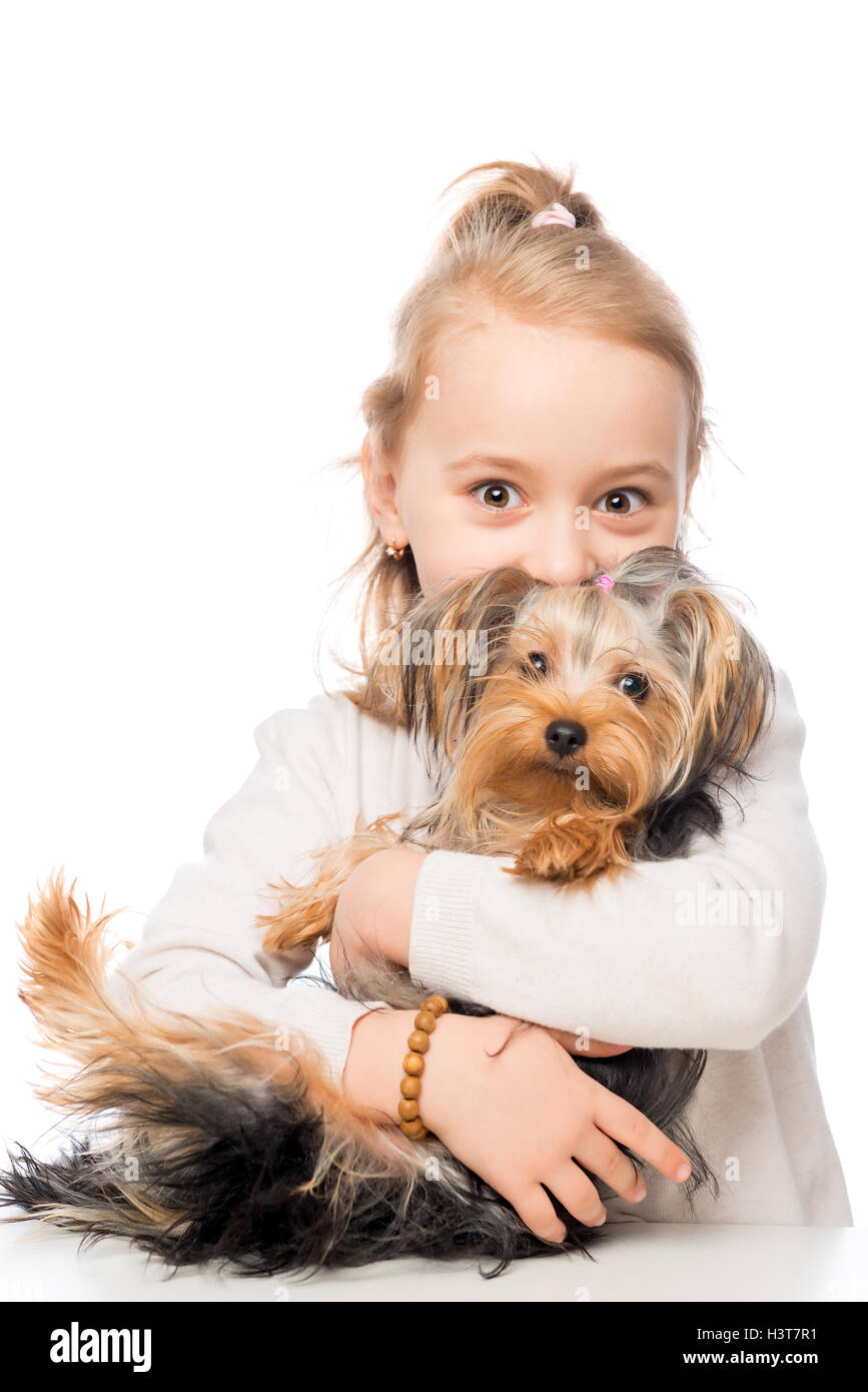preschooler girl and her pet Yorkshire terrier on a white background Stock Photo