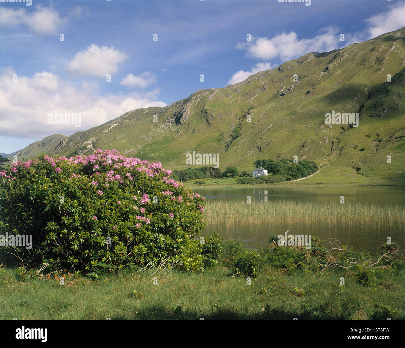 Ireland, Connemara, Killary pass, in the Vgr. Lake Stock Photo