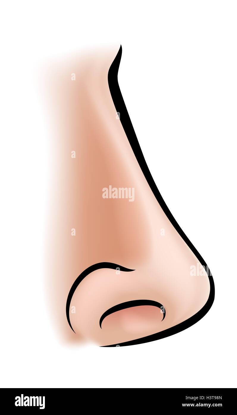 An illustration of a human nose body part Stock Photo