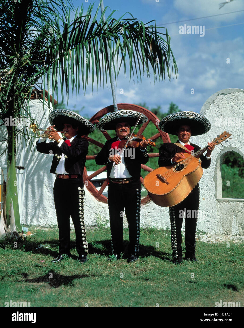 Mexico Folklore Mariachi Musician Music Musician Mariachi