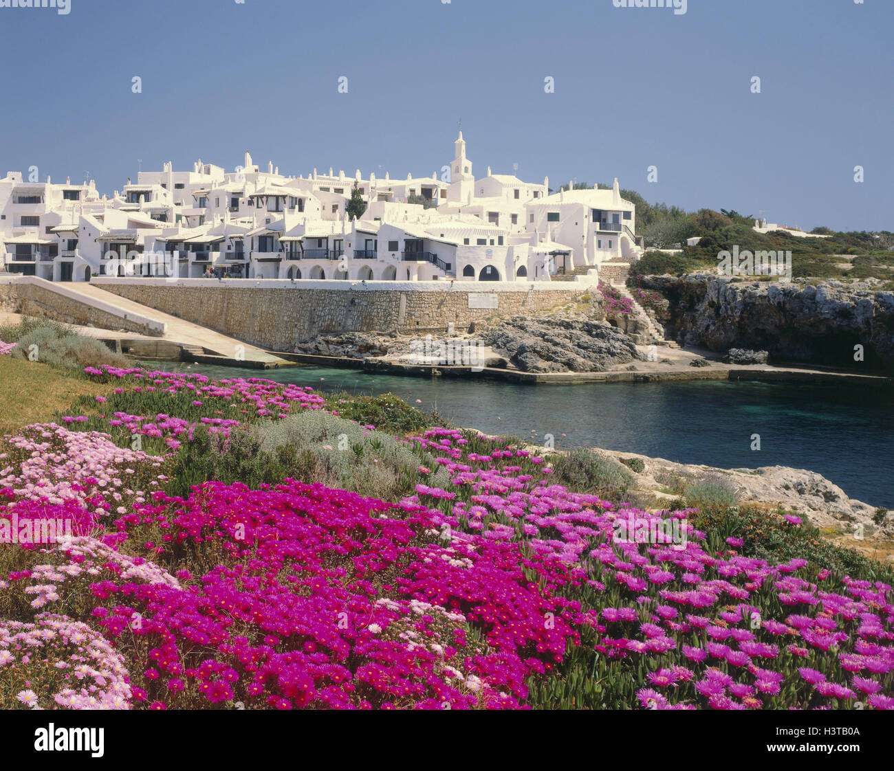 E / Menorca, Binibeca, local view, flowers in the Vgr. Stock Photo