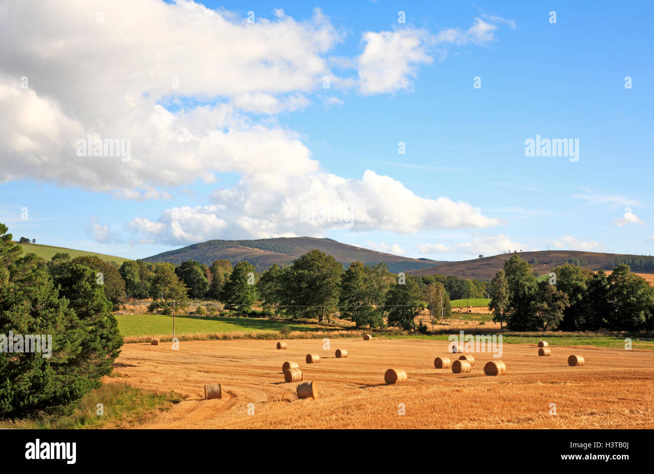 Lumsden hires stock photography and images Alamy