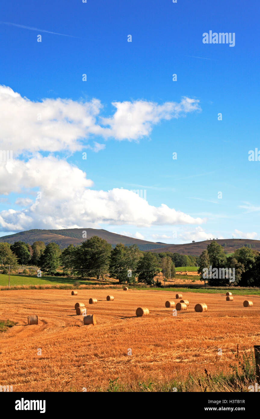 Lumsden aberdeenshire hires stock photography and images Alamy
