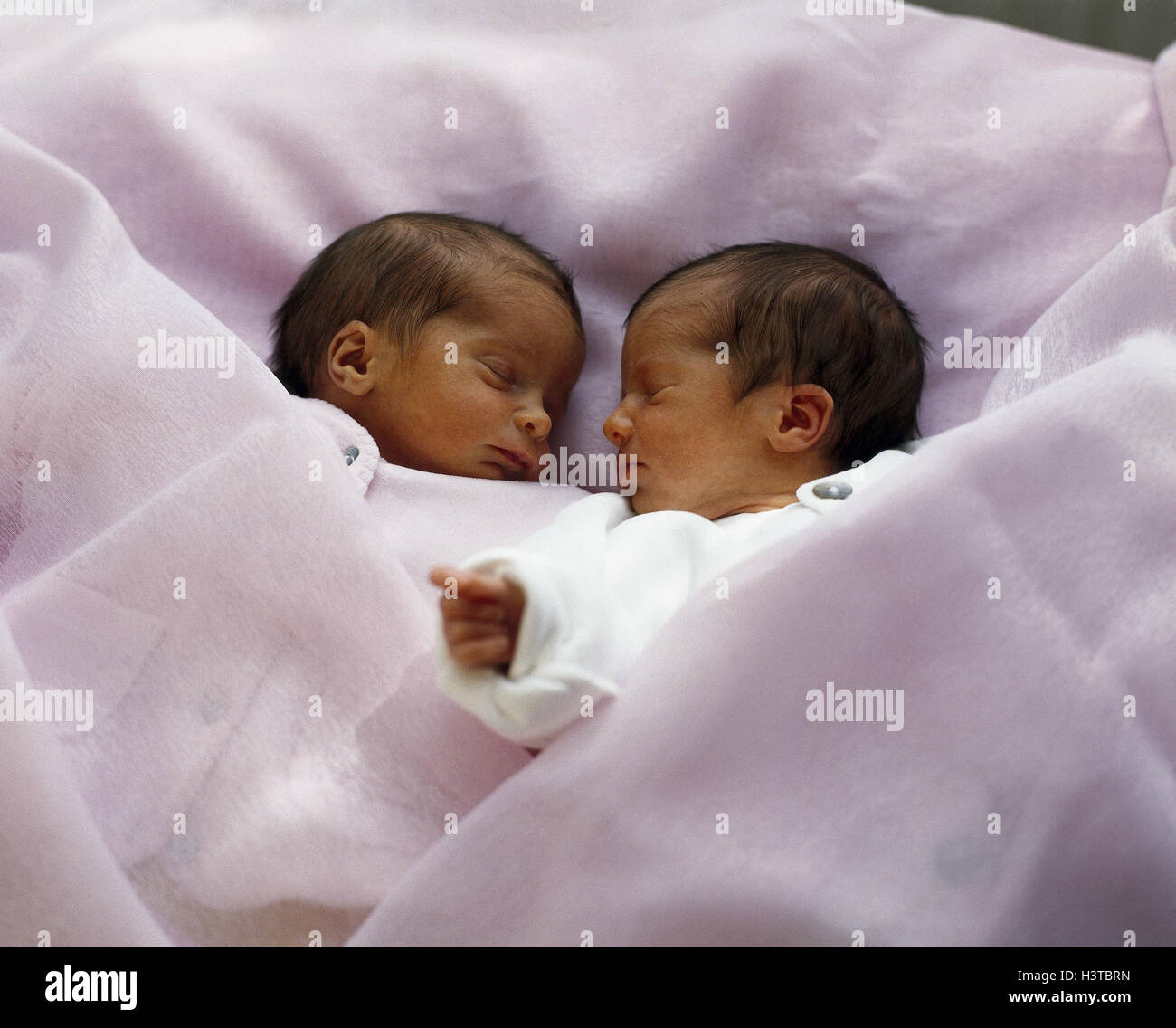Babies, twins, newborn children, inside, two, bed, sleep, infants, 3