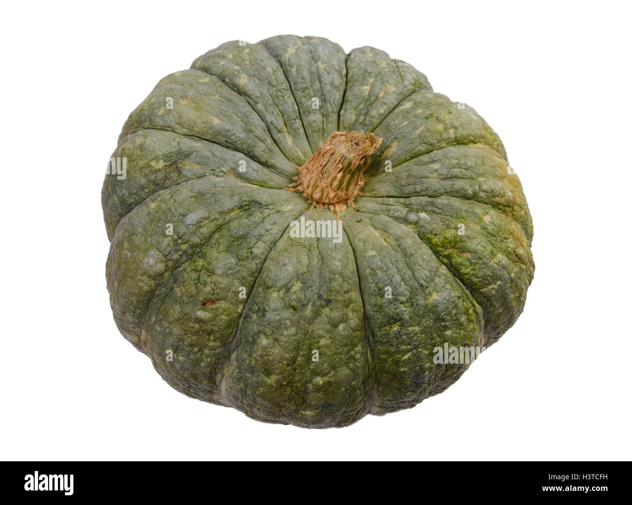 Green pumpkin on white background isolated Stock Photo - Alamy