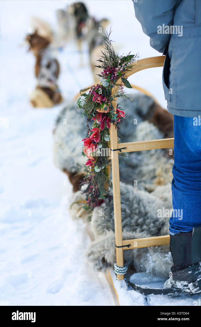 Sledding with husky dogs. Northern polar circle. Lapland. Stock Photo