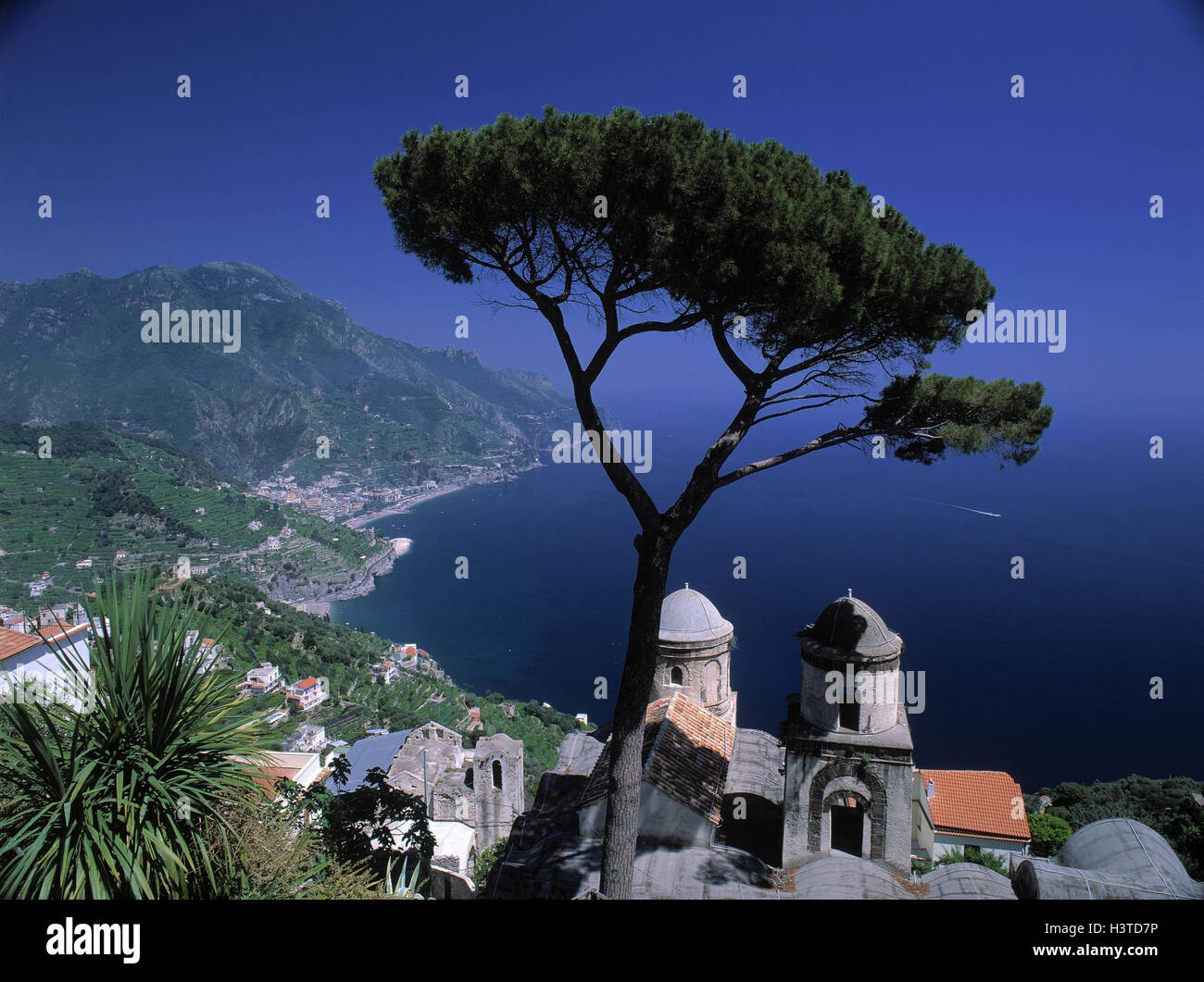 Italy, Kampanien, Amalfiküste, Ravello, local overview, pine, Amalfi, coast, sea, local view, Stock Photo