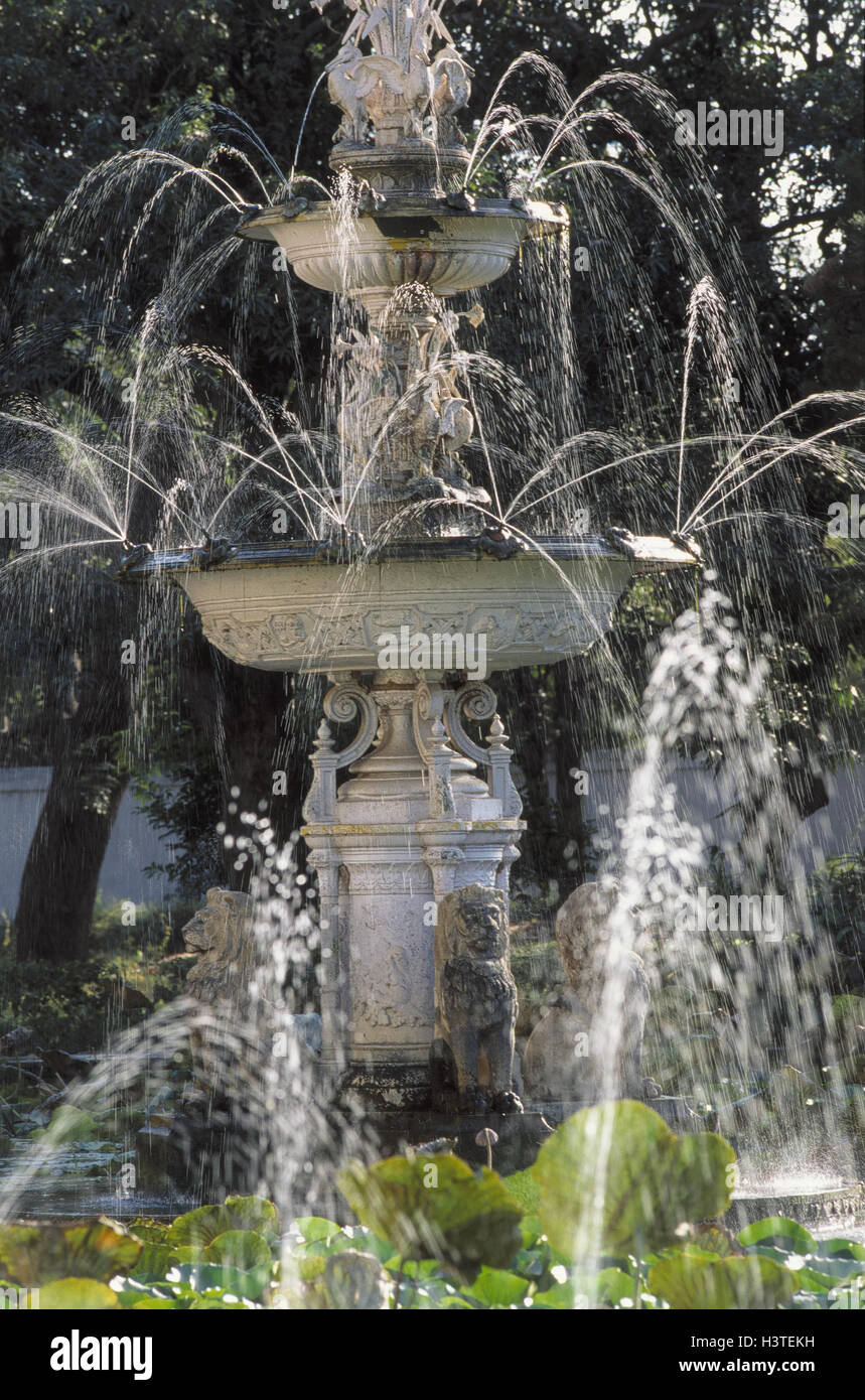 India, Rajasthan, park, fountain, Asia, park, fountain, play water