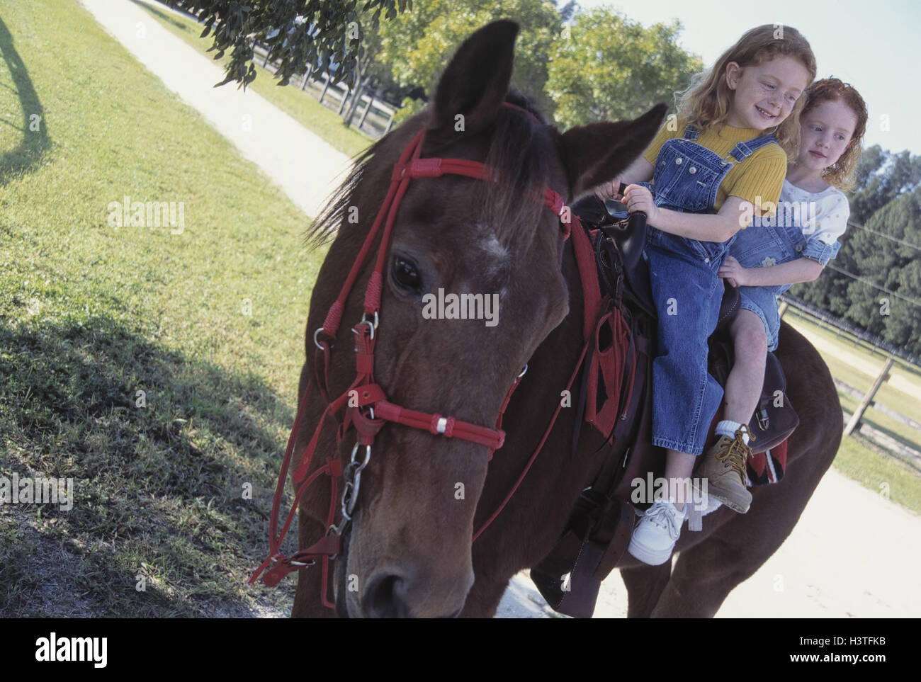 Horse, girl, siblings, ride, Gestüt, riding horse, sisters, friendship, friends, horse's backs, holidays, bleed court, farm, leisure time, hobby, fun, amusement, sport, horse-riding, joy happily, outside Stock Photo