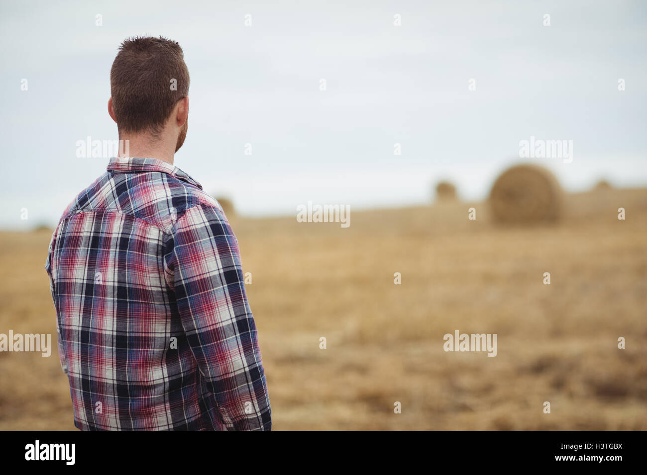 Rear view of farmer standing in field Stock Photo - Alamy