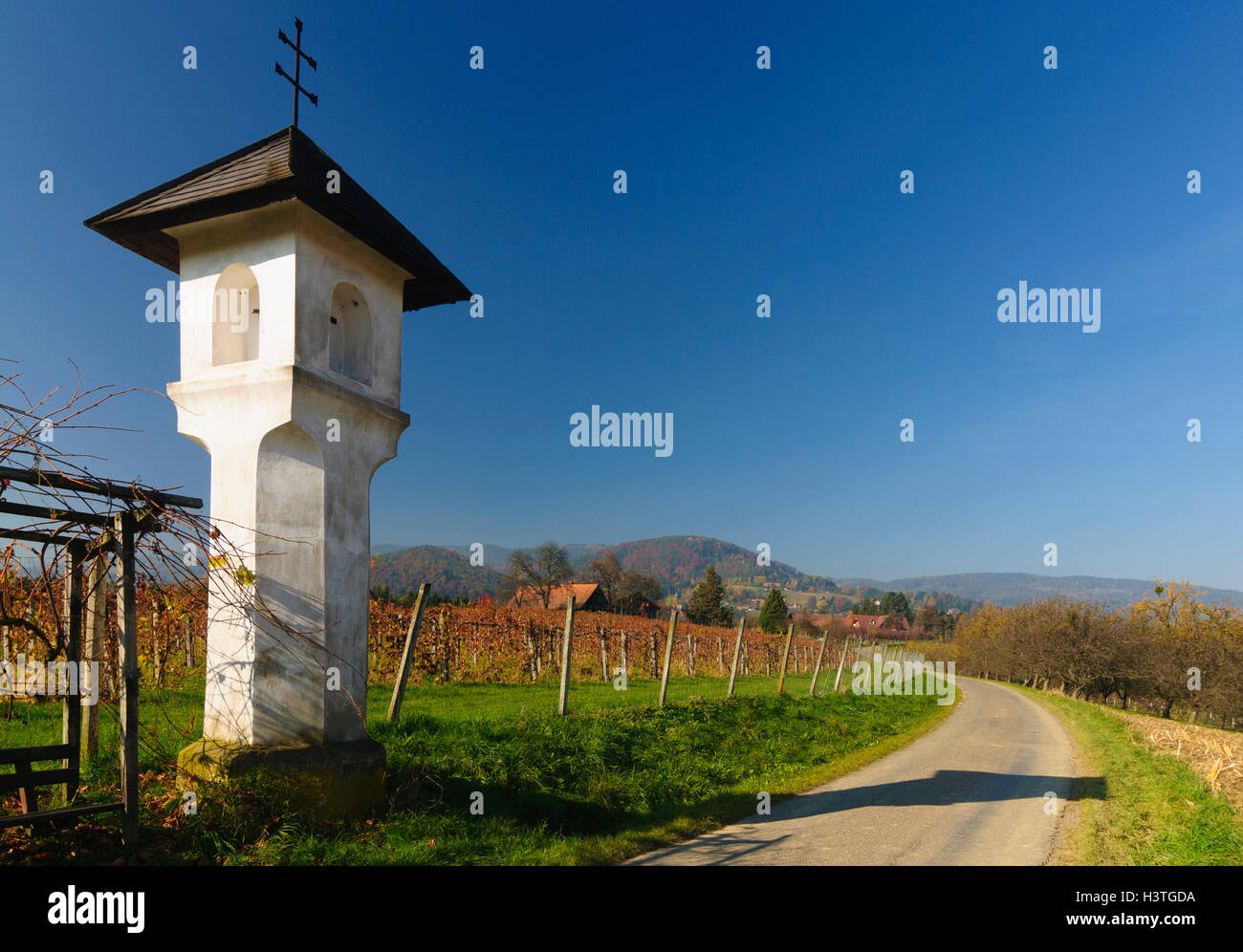 Bad Gams (Schilcherland): wayside shrine and vineyards in Bergegg, Südwest-Steiermark, Steiermark, Styria, Austria Stock Photo